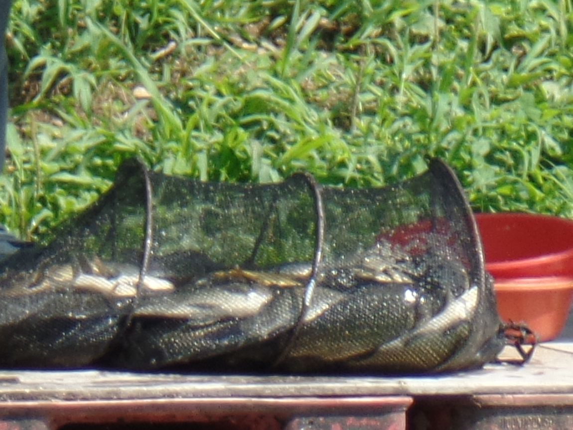 11.JPG