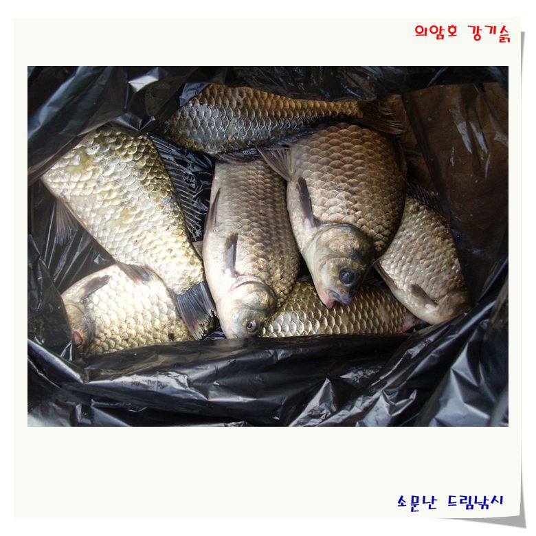 여름 휴가의 끝자락 입니다.