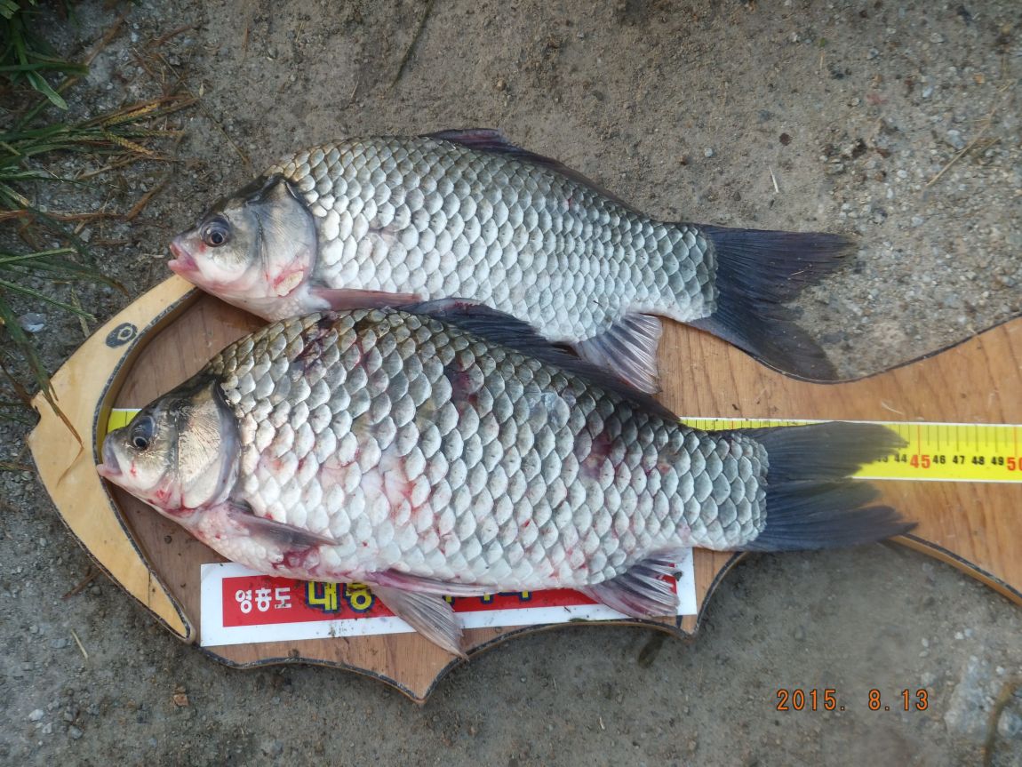 201300703 004.jpg