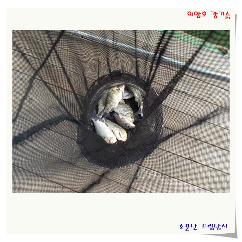 주말 조황과 풍광 및 시설 입니다