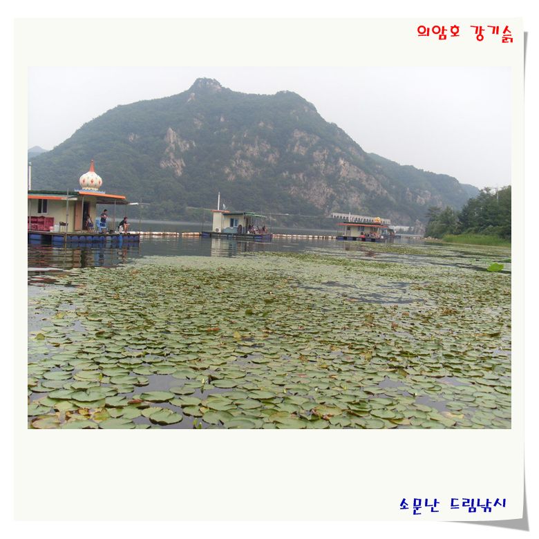 이런 포인트로 준비 하였습니다.