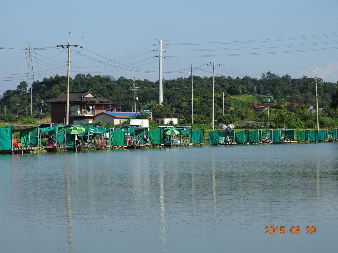 DSC01416.JPG