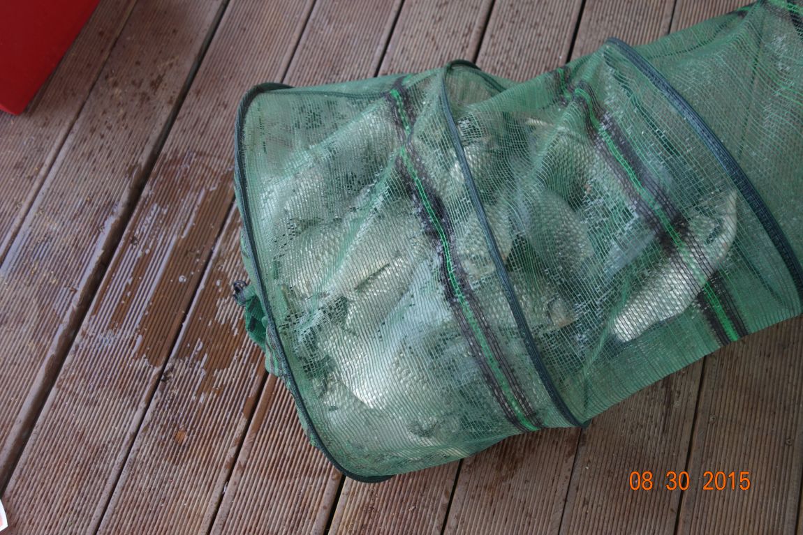 DSC06345.JPG