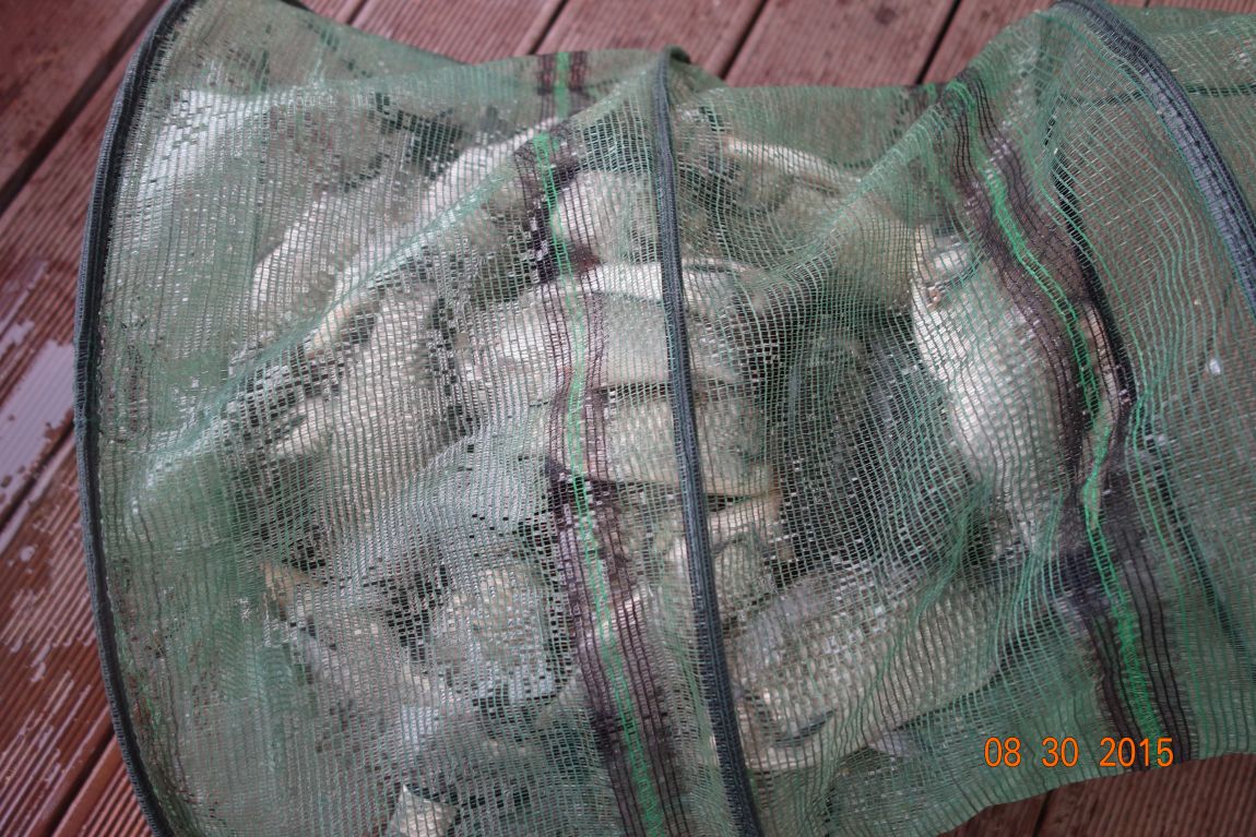 DSC06346.JPG