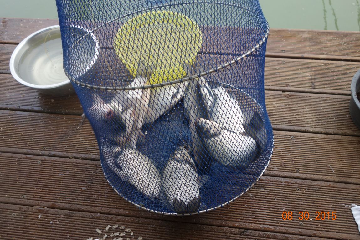 DSC06348.JPG