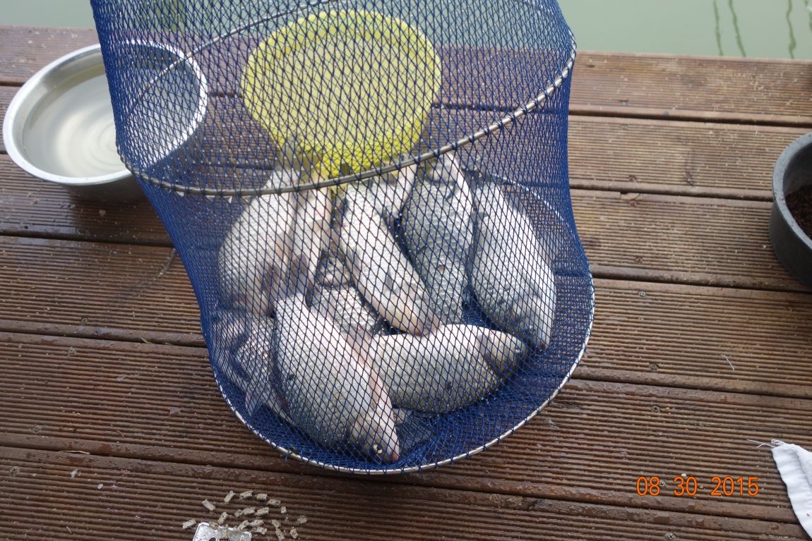 DSC06349.JPG