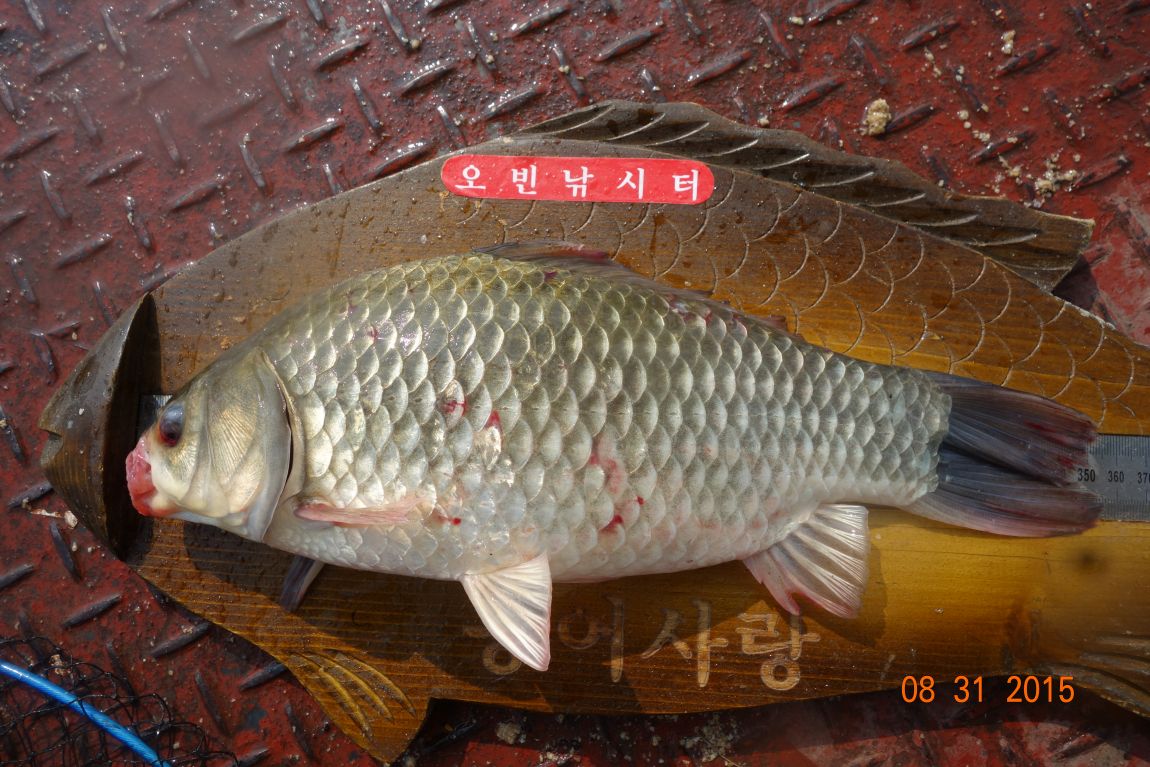DSC06371.JPG