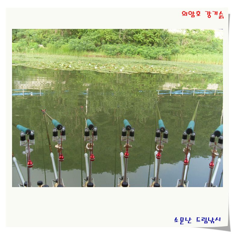 이런 포인트에서 주말을 보내십니다.