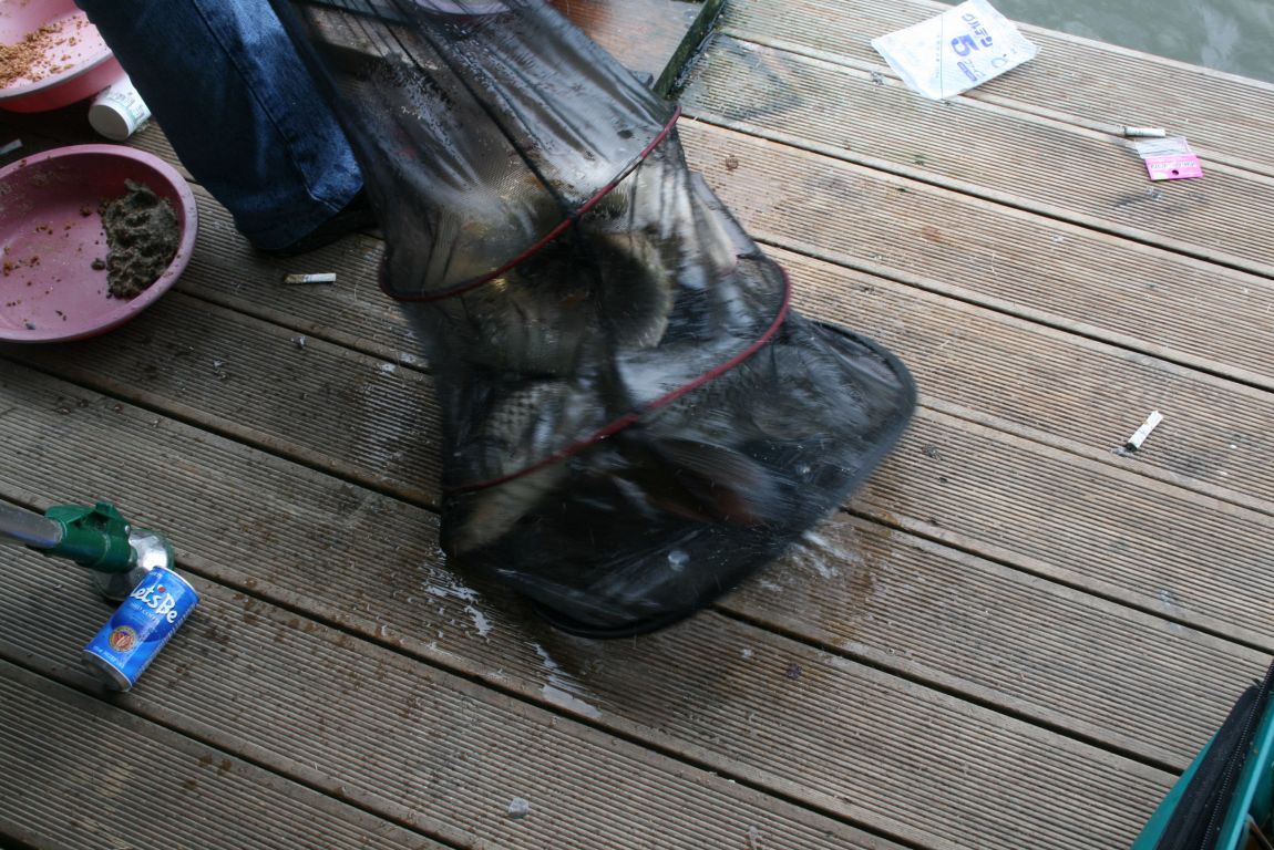 IMG_3637.JPG