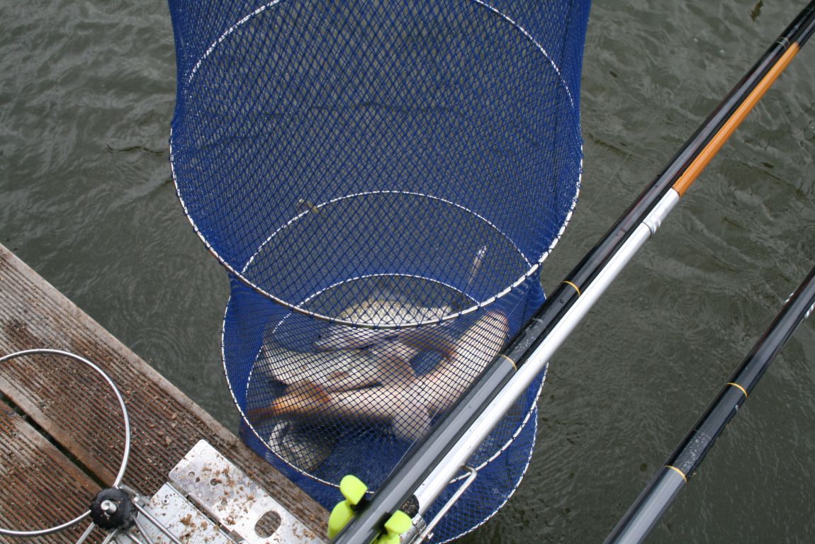 IMG_3639.JPG