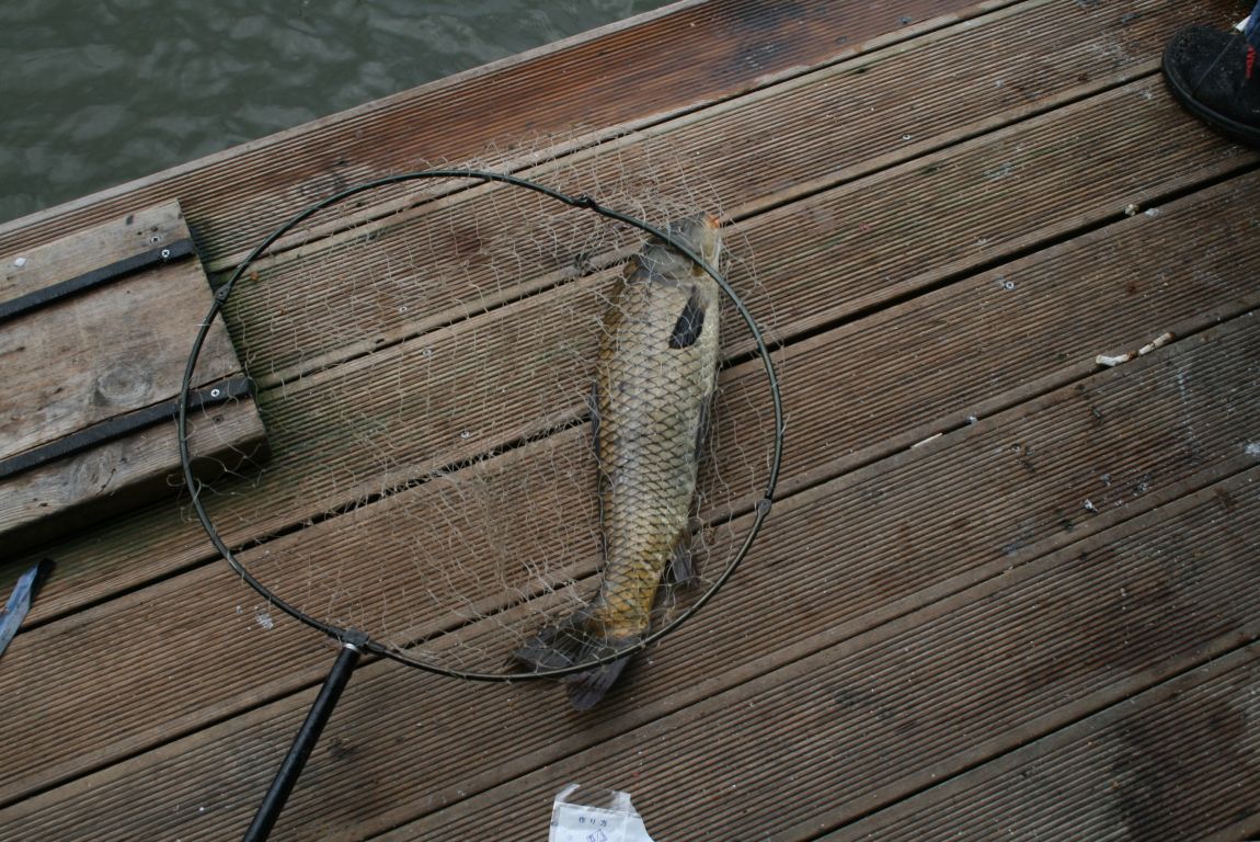 IMG_3634.JPG