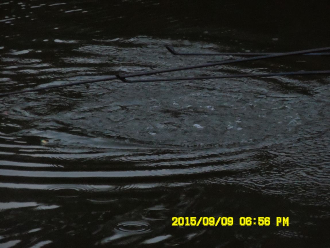 9¿ù8ÀÏ~9ÀÏ 017.JPG