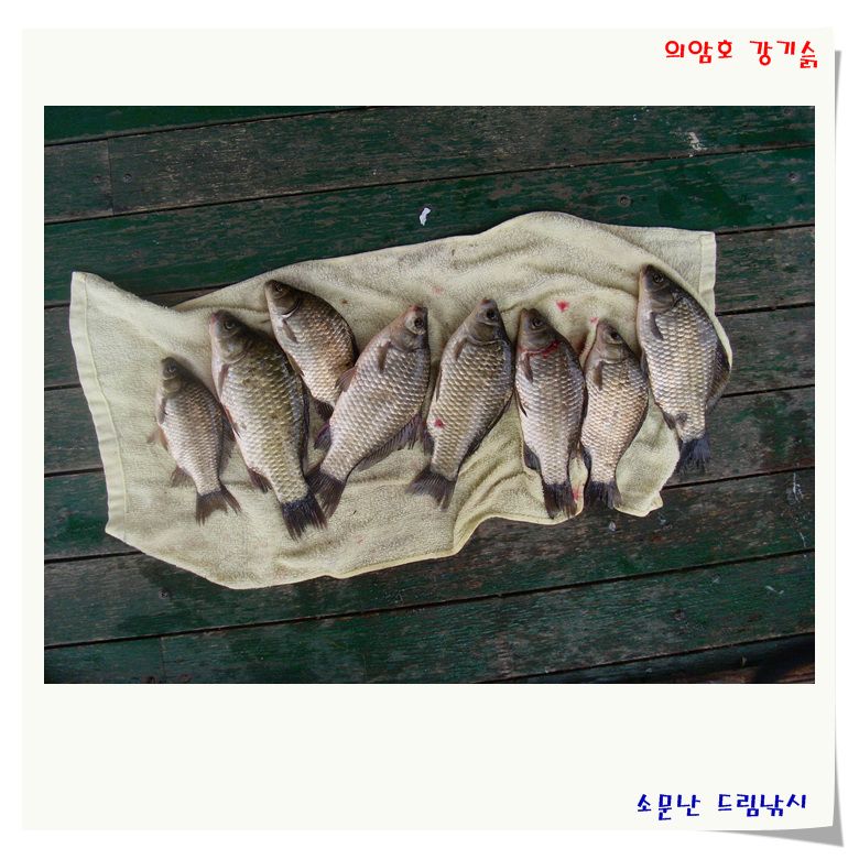 이런 포인트에서 낚시를 즐기십니다.