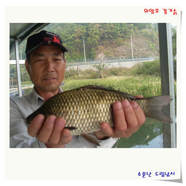 30.8월척외 조황이 좋네요.