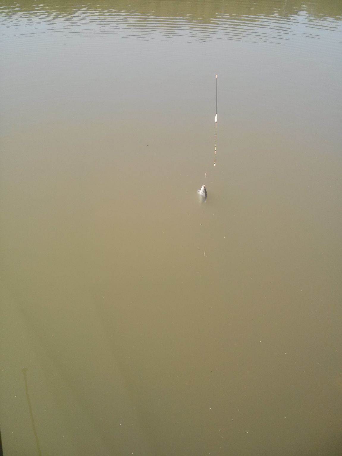 CAM07833.jpg