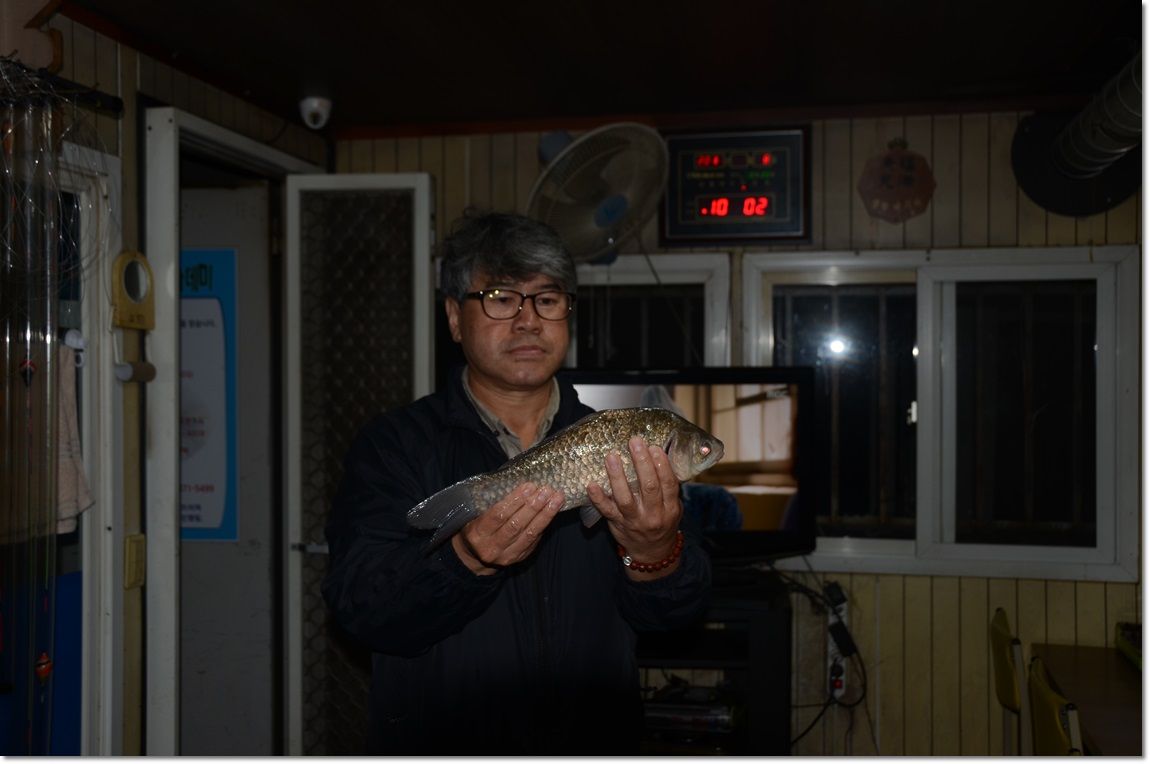 DSC_1245.JPG