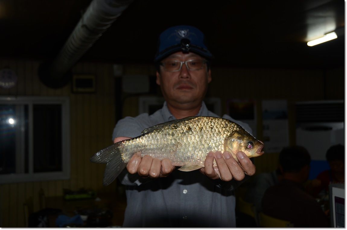 DSC_1233.JPG