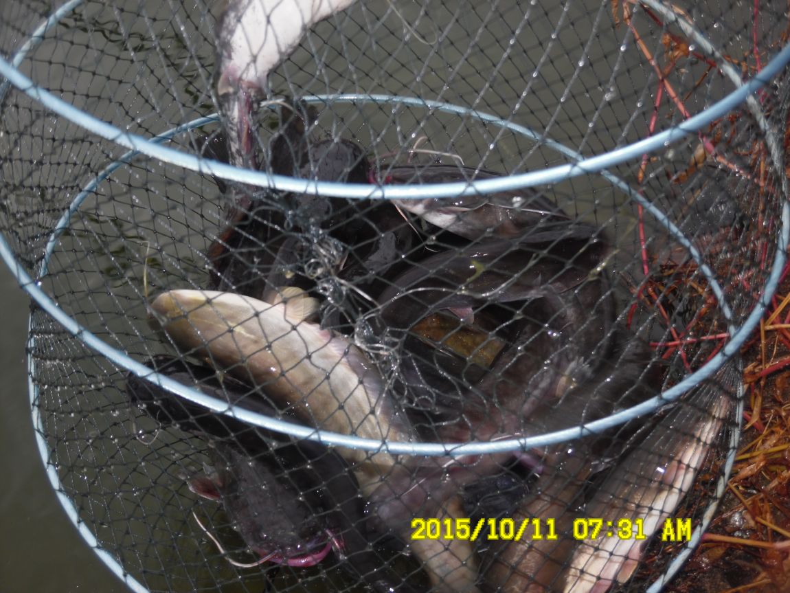 10¿ù11ÀÏ~14ÀÏ 007.JPG