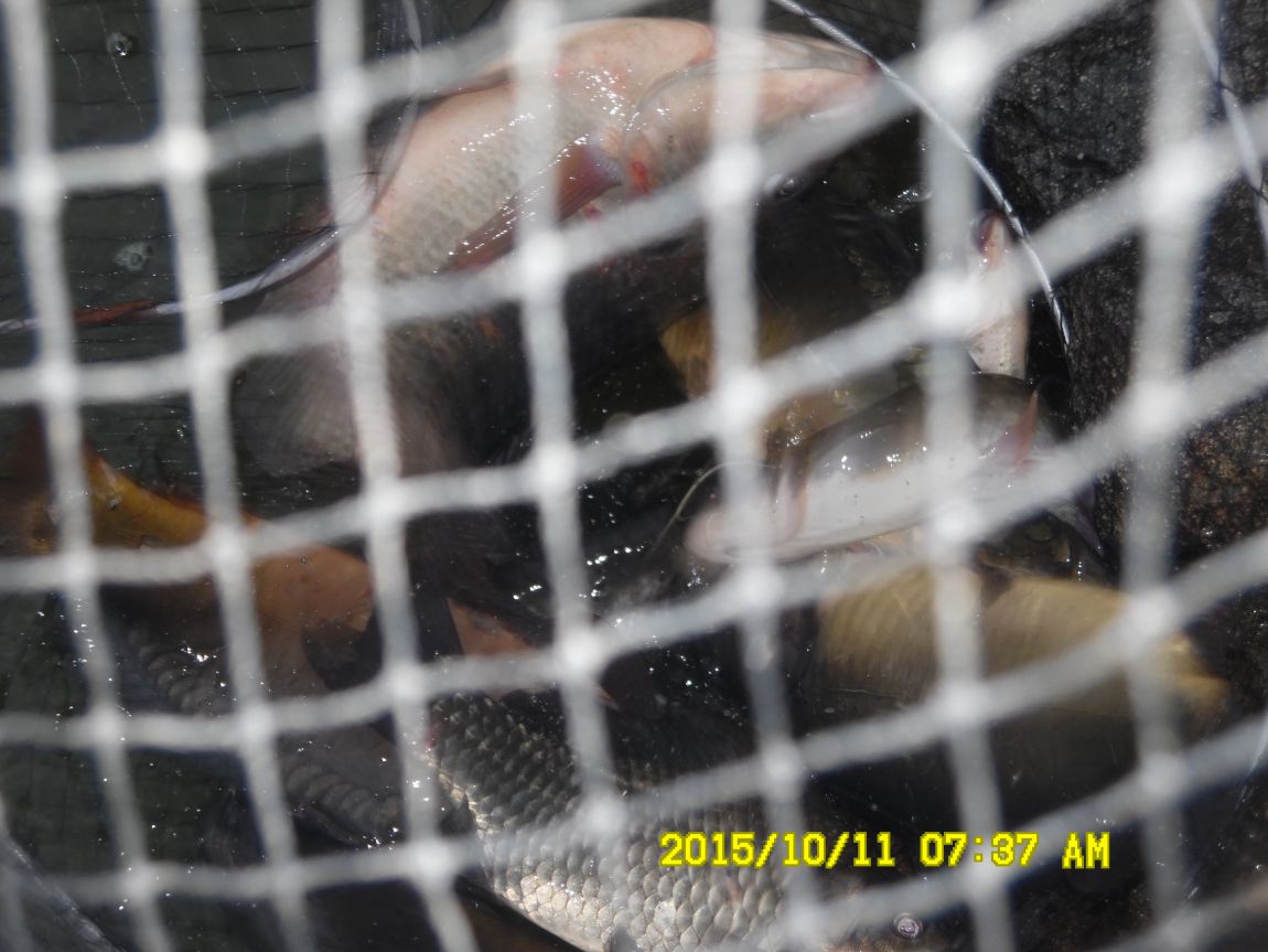 10¿ù11ÀÏ~14ÀÏ 008.JPG