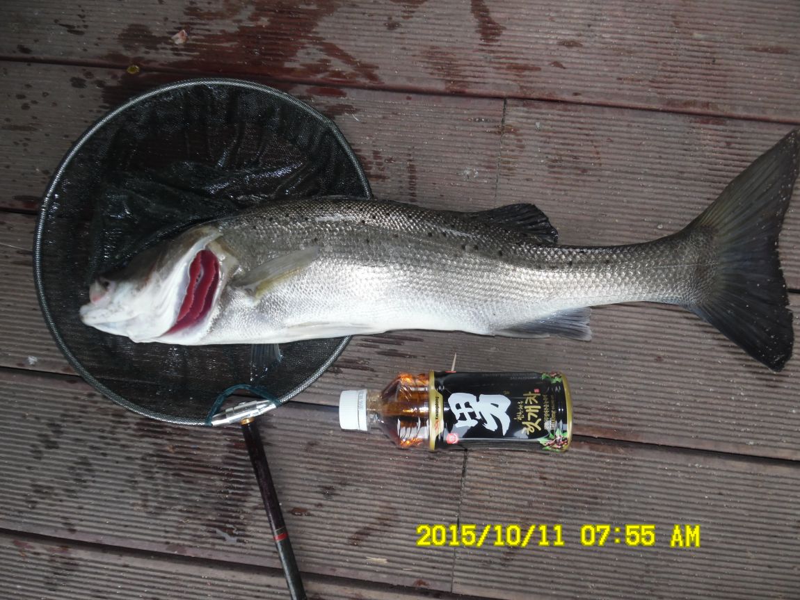 10¿ù11ÀÏ~14ÀÏ 016.JPG