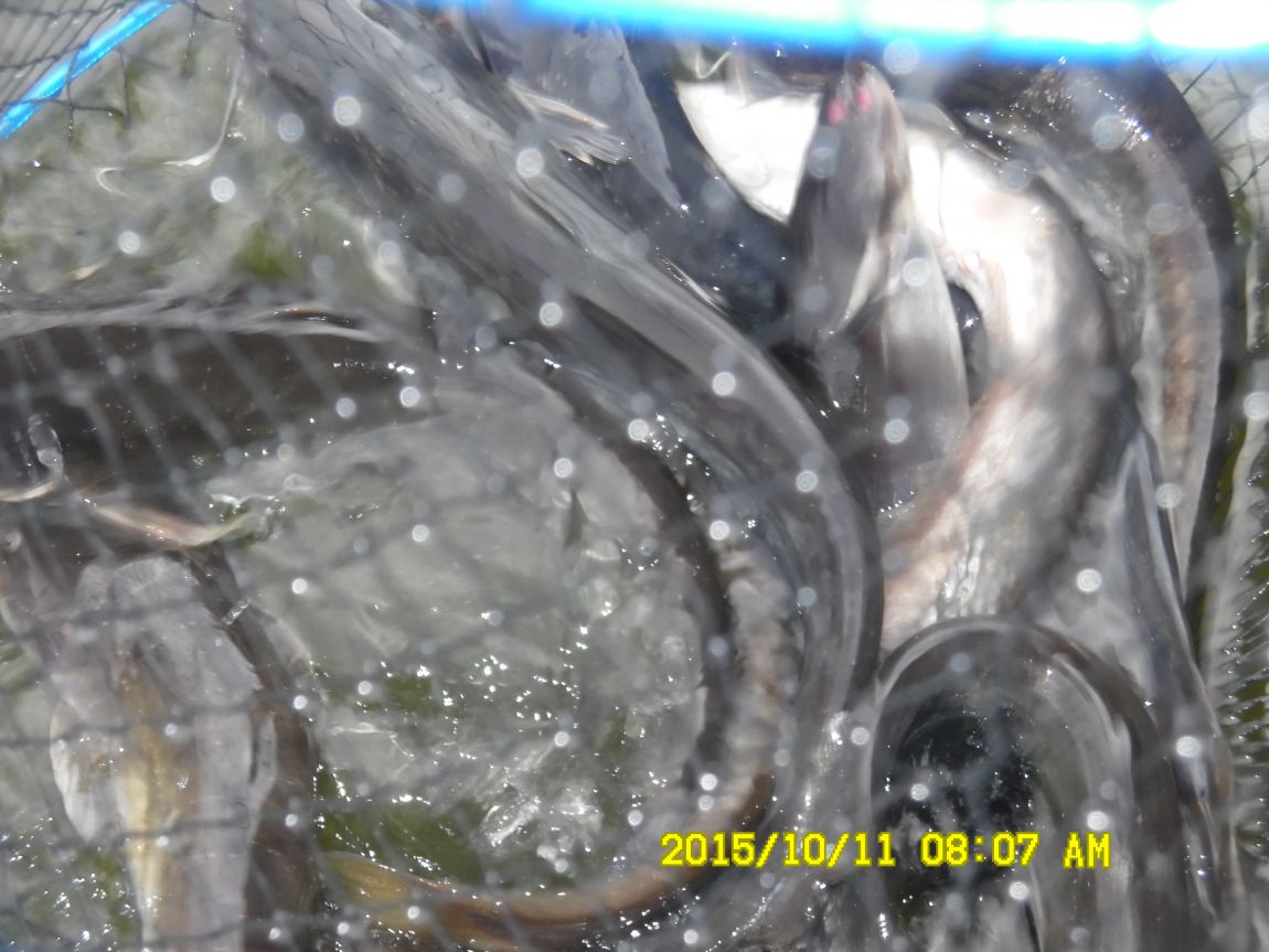 10¿ù11ÀÏ~14ÀÏ 017.JPG