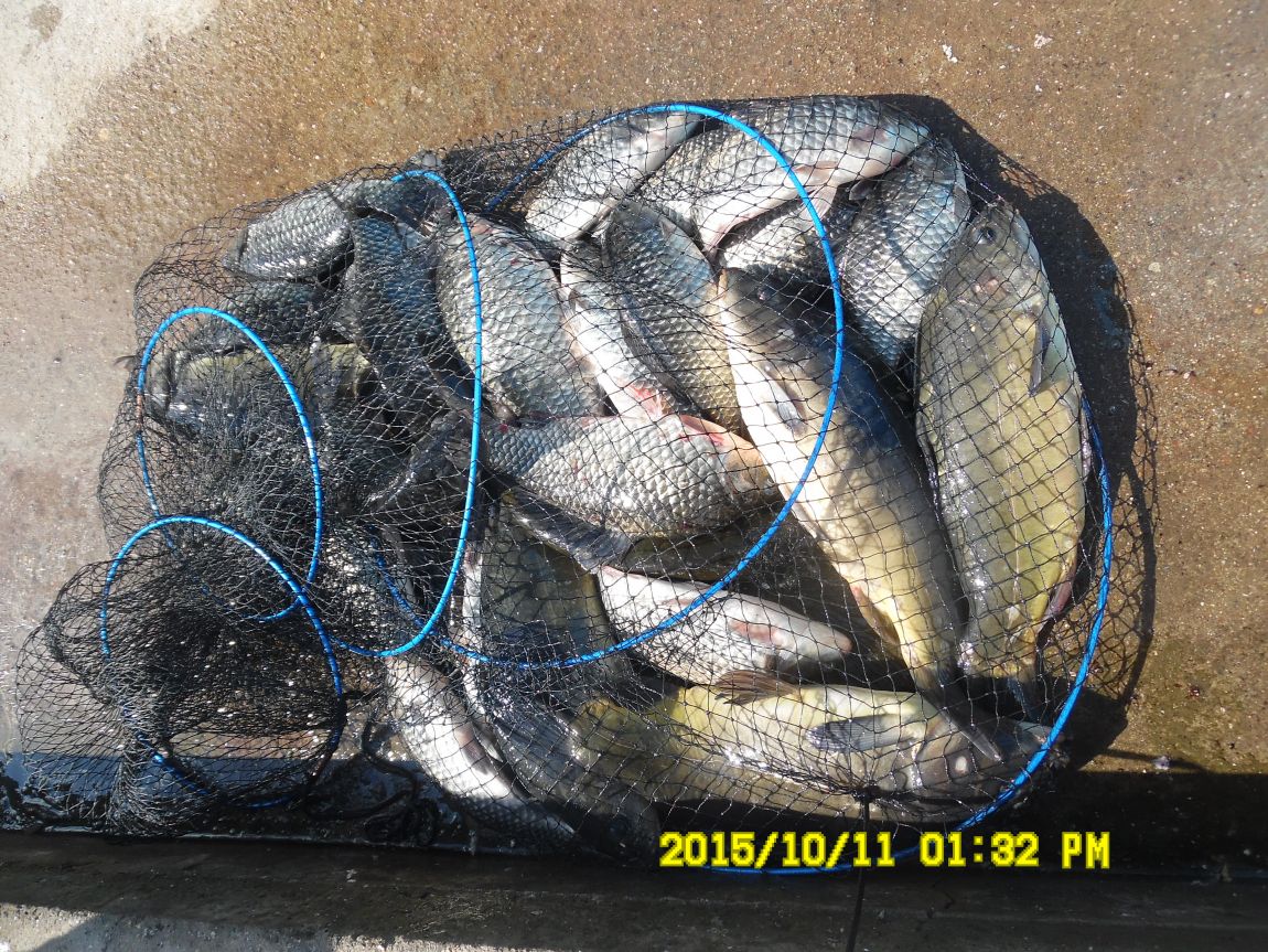 10¿ù11ÀÏ~14ÀÏ 018.JPG