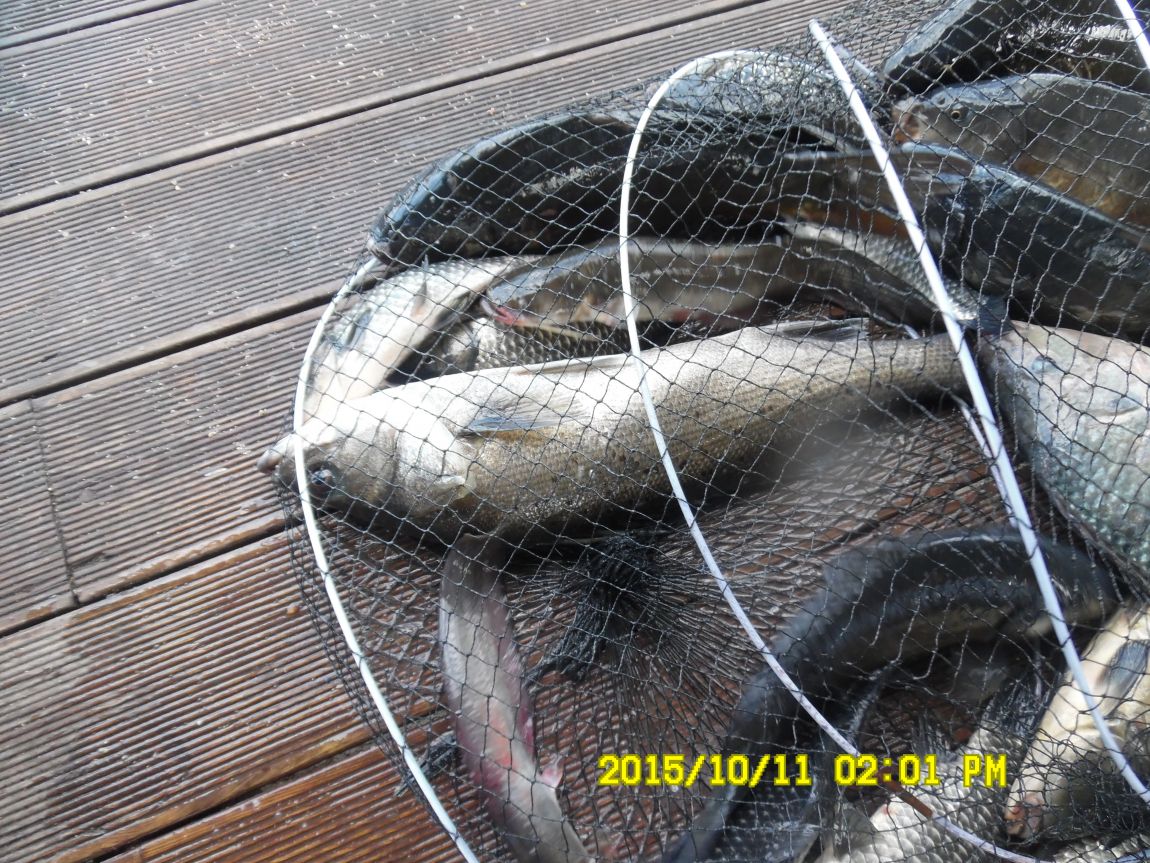 10¿ù11ÀÏ~14ÀÏ 019.JPG