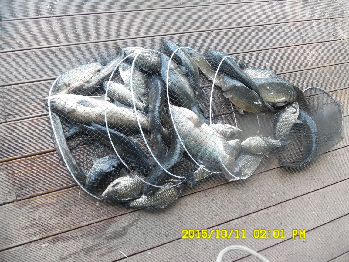 10¿ù11ÀÏ~14ÀÏ 021.JPG