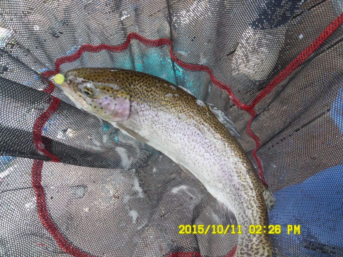 10¿ù11ÀÏ~14ÀÏ 024.JPG