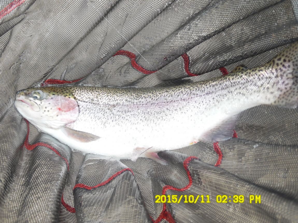 10¿ù11ÀÏ~14ÀÏ 025.JPG