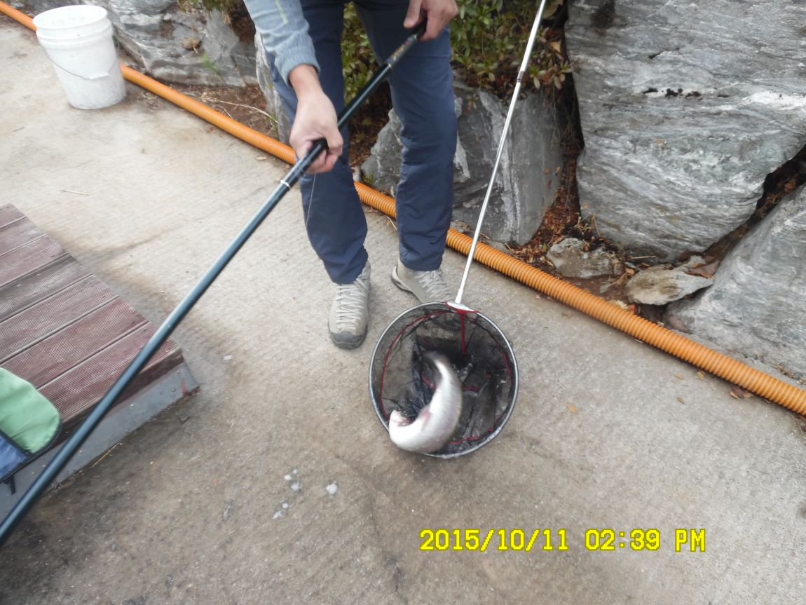 10¿ù11ÀÏ~14ÀÏ 027.JPG