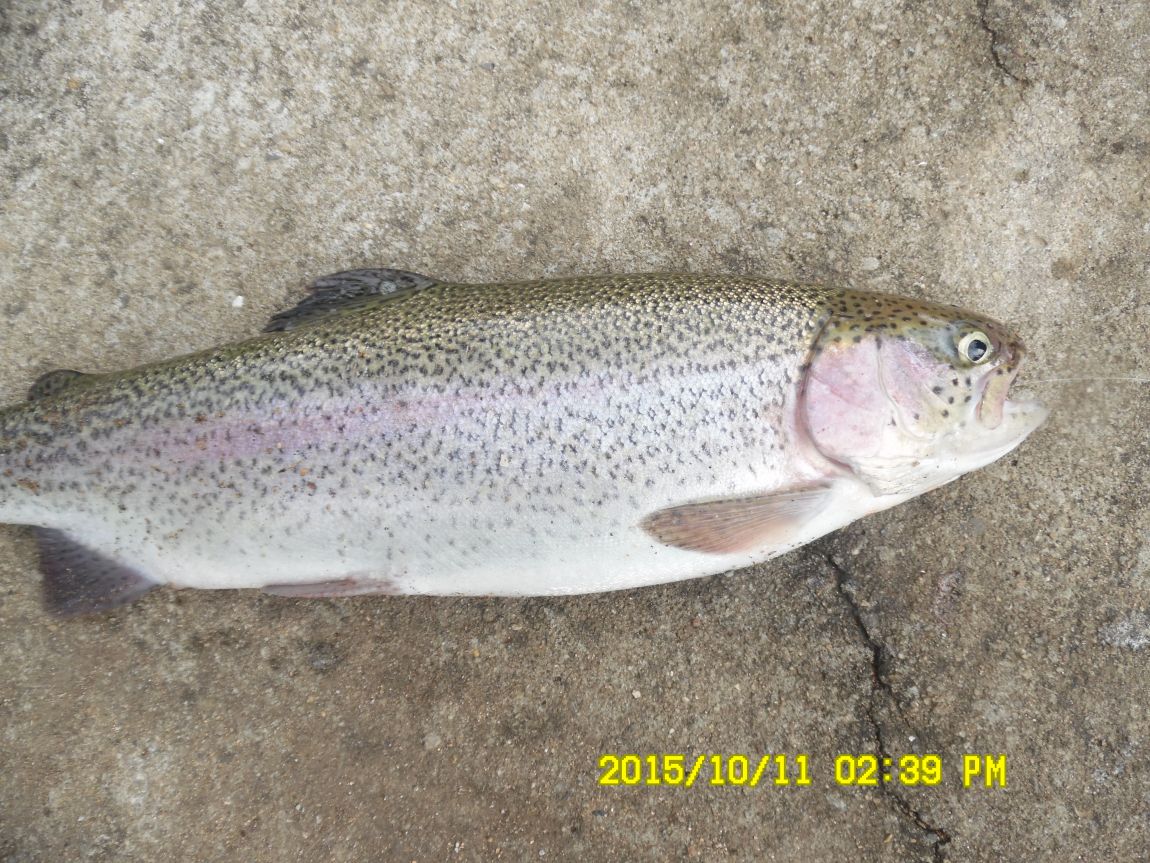 10¿ù11ÀÏ~14ÀÏ 028.JPG