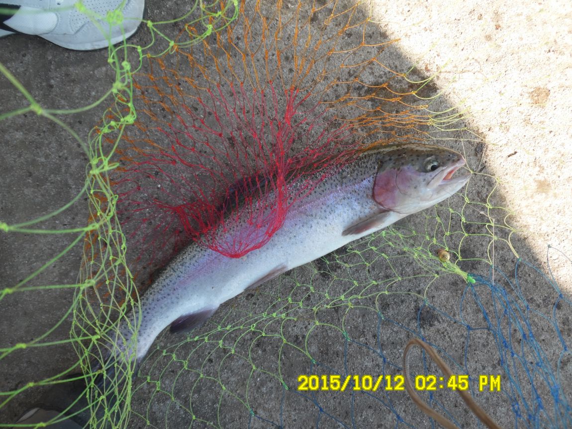 10¿ù11ÀÏ~14ÀÏ 031.JPG