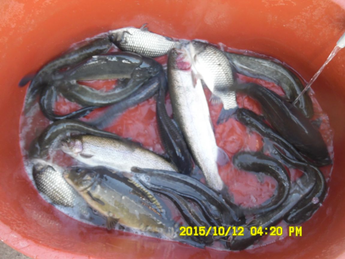 10¿ù11ÀÏ~14ÀÏ 033.JPG