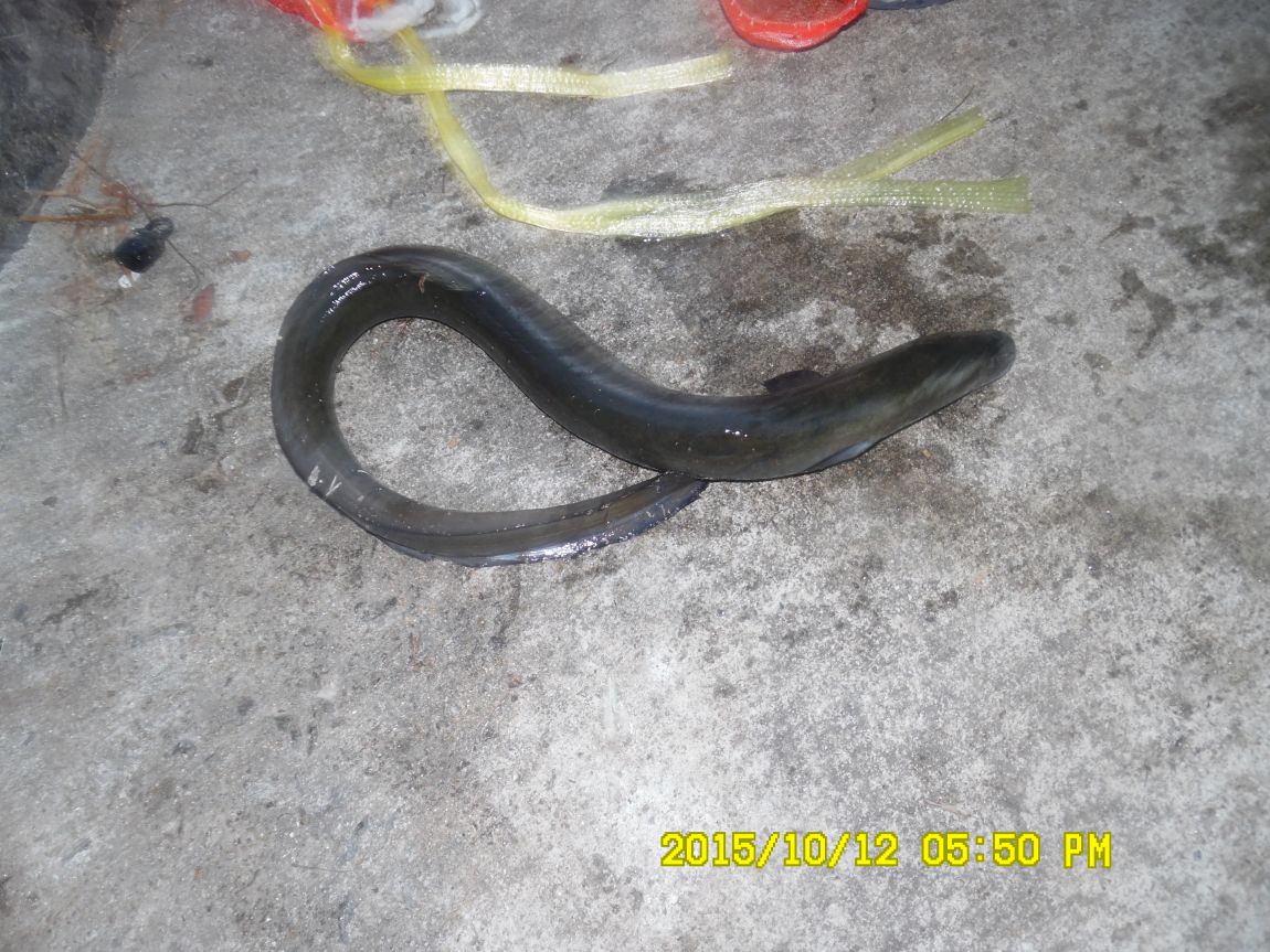 10¿ù11ÀÏ~14ÀÏ 036.JPG