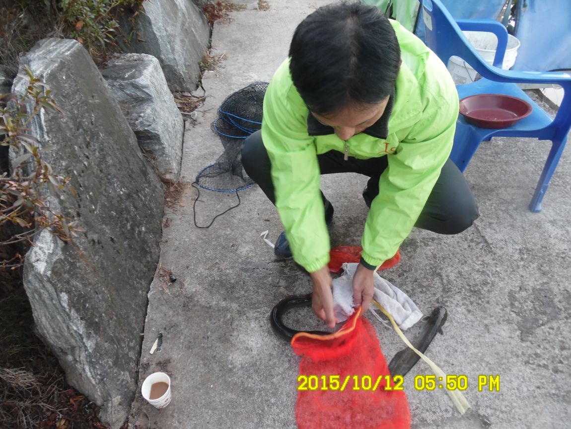 10¿ù11ÀÏ~14ÀÏ 037.JPG