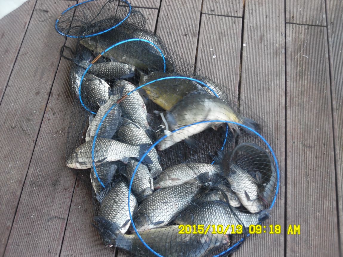 10¿ù11ÀÏ~14ÀÏ 040.JPG