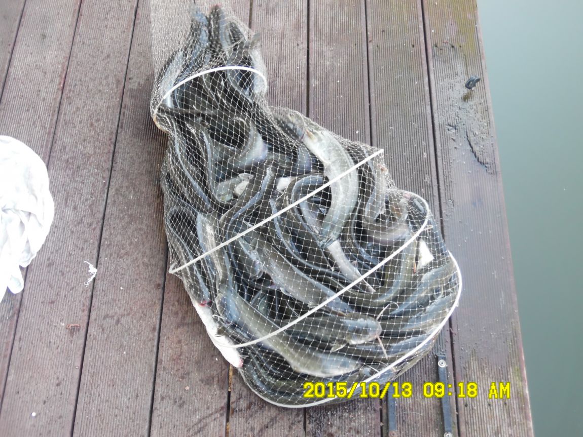 10¿ù11ÀÏ~14ÀÏ 041.JPG