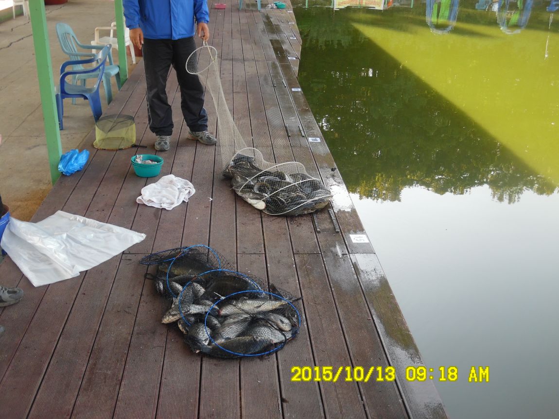 10¿ù11ÀÏ~14ÀÏ 042.JPG