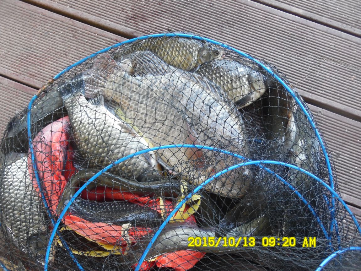 10¿ù11ÀÏ~14ÀÏ 044.JPG