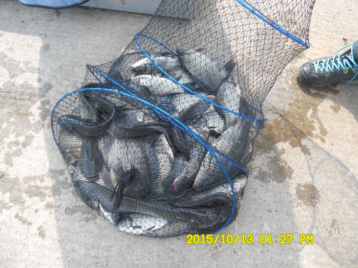 10¿ù11ÀÏ~14ÀÏ 045.JPG