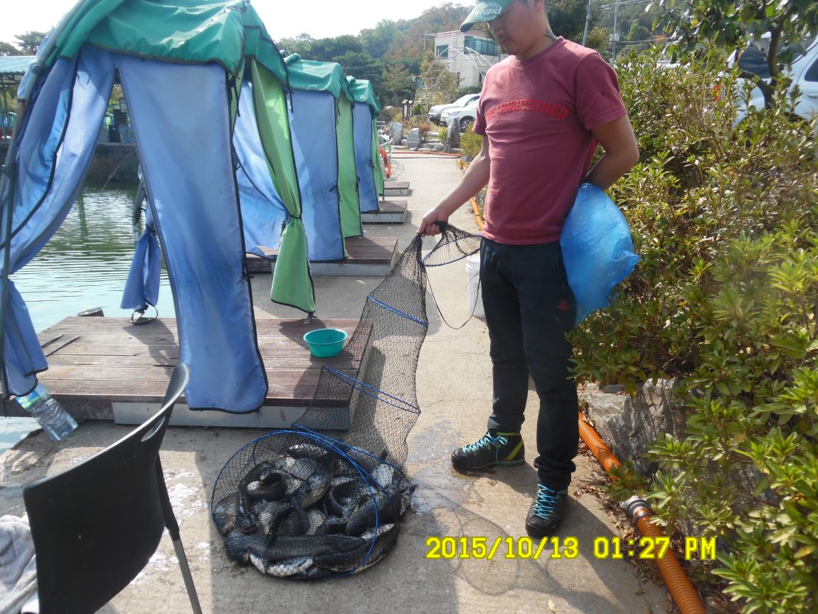 10¿ù11ÀÏ~14ÀÏ 046.JPG