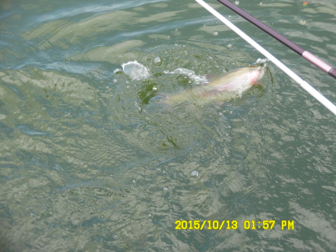 10¿ù11ÀÏ~14ÀÏ 048.JPG