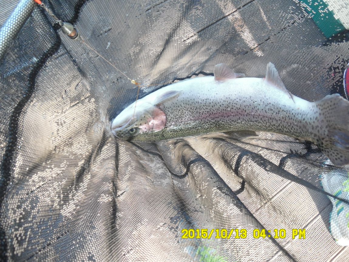 10¿ù11ÀÏ~14ÀÏ 050.JPG