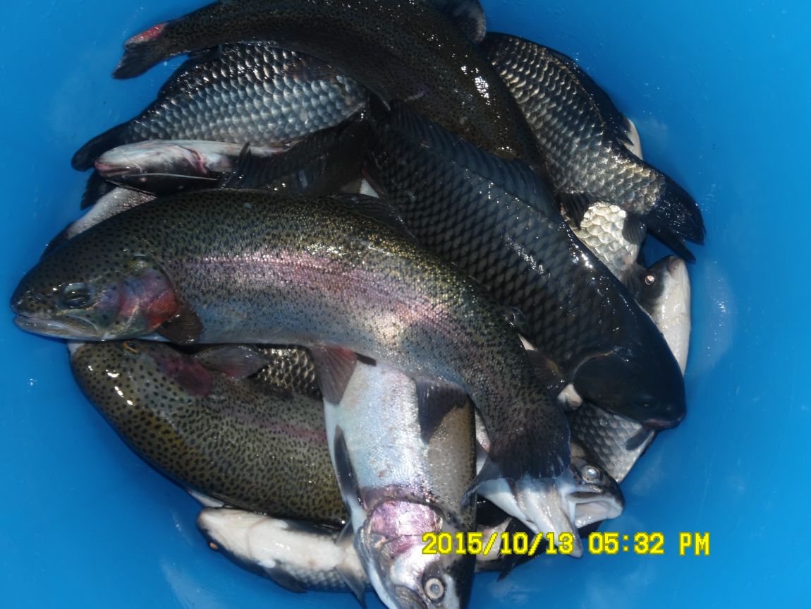 10¿ù11ÀÏ~14ÀÏ 053.JPG