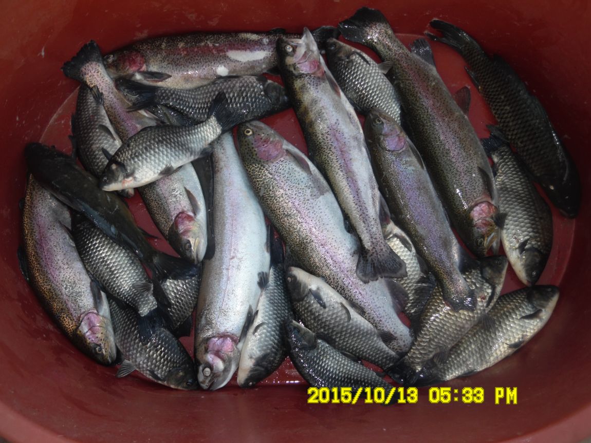 10¿ù11ÀÏ~14ÀÏ 054.JPG