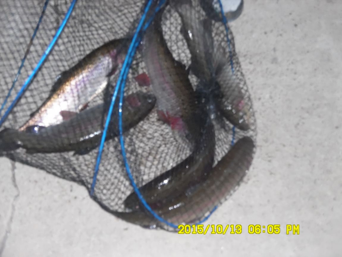 10¿ù11ÀÏ~14ÀÏ 056.JPG