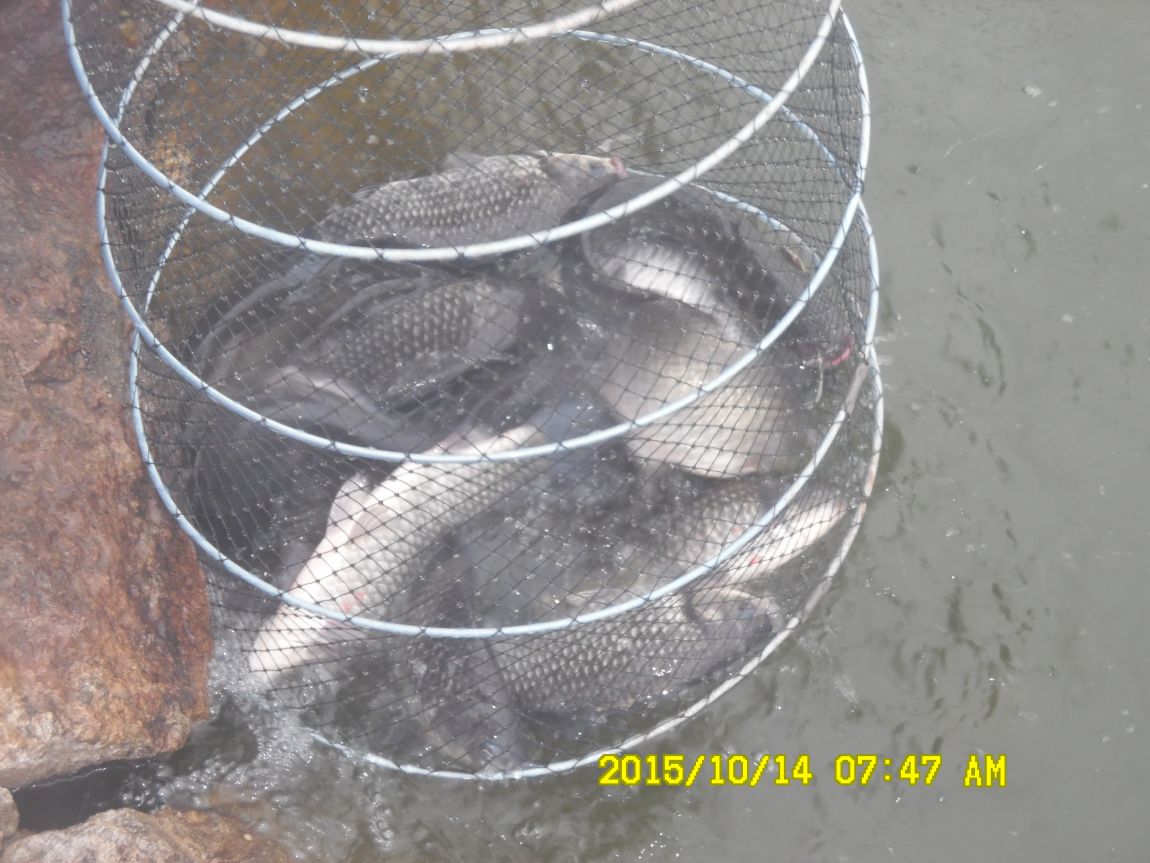 10¿ù11ÀÏ~14ÀÏ 059.JPG