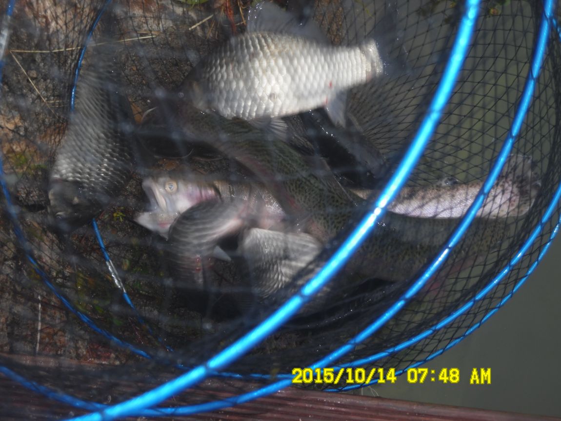 10¿ù11ÀÏ~14ÀÏ 060.JPG