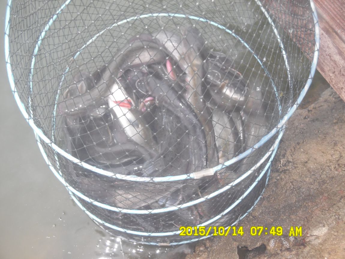 10¿ù11ÀÏ~14ÀÏ 062.JPG